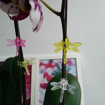 30PCS Dragonfly Įrašus Sodo Orchidėja Augalas, Spaustuvai Gėlės Vynuogių Parama Fiksuoto Kamieninių Užsegimas Susieta Hiso pluošto Bonsai Apdaila