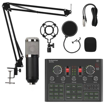 Profesionalių Belaidžių Mikrofonų Studija Kondensatoriaus Mikrofonas Karaoke Mic V9XPRO Garso plokštė 